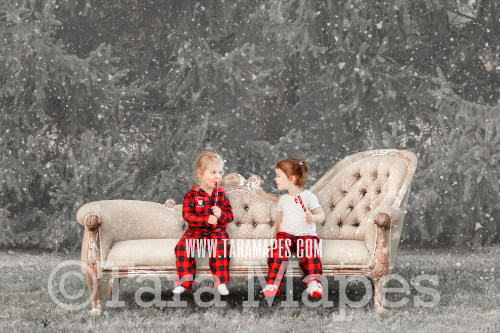 Winter Digital Backdrop - Couch in Christmas Tree Farm- Free Snow Overlay Included - Christmas Digital Backdrop by Tara Mapes