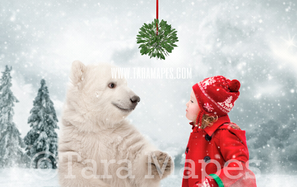 Polar Bear Cub  Mistletoe - Polar Bear Cub under Mistletoe Snow by Pine Trees -Free Snow overlay - Snowy Scene with Animal - Funny Christmas Holiday Digital Background Backdrop