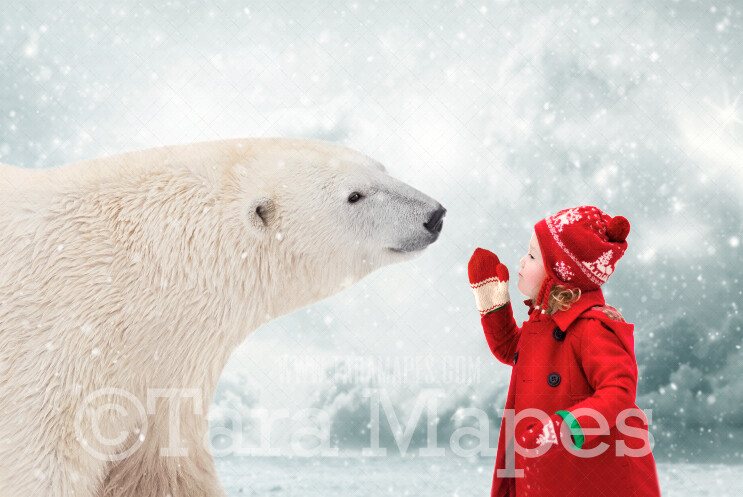 Polar Bear Kiss - Polar Bear Kisses by Pine Trees -Free Snow overlay - Snowy Scene with Animal -  Digital Background Backdrop