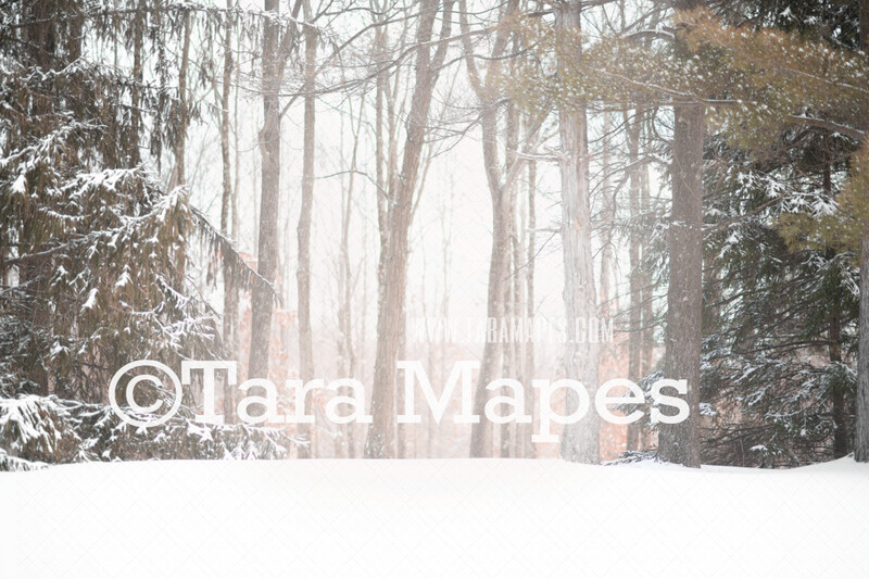 Winter Forest - Winter Trees - Enchanted Forest Entrance - Pines Snowy Path - Pine Trees in Snow -  Digital Background / Backdrop