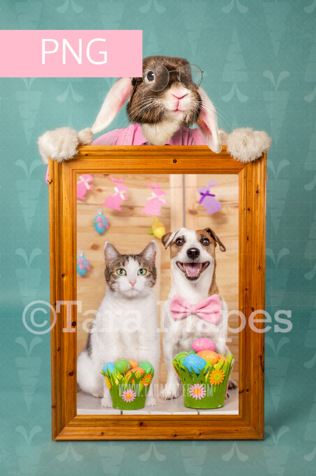 Easter Bunny Frame - Colorful Easter Frame Backdrop - Fine Art Easter Bunny - Easter Bunny Holding a Frame  - Fun Easter Digital - PNG file #EB4 - Photoshop Digital Background / Backdrop