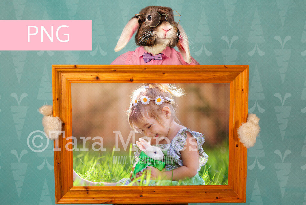 Easter Bunny Frame - Colorful Easter Frame Backdrop - Fine Art Easter Bunny - Easter Bunny Holding a Frame  - Fun Easter Digital - PNG file #EB5 -Easter Digital Background / Backdrop