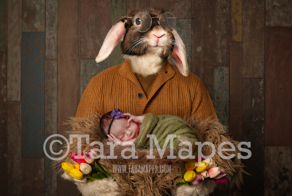 Easter Bunny Digital Backdrop - Easter Bunny Newborn Backdrop - Fine Art Easter Bunny - Warm Cozy - Easter Bunny Studio - Easter Digital Background / Backdrop JPG
