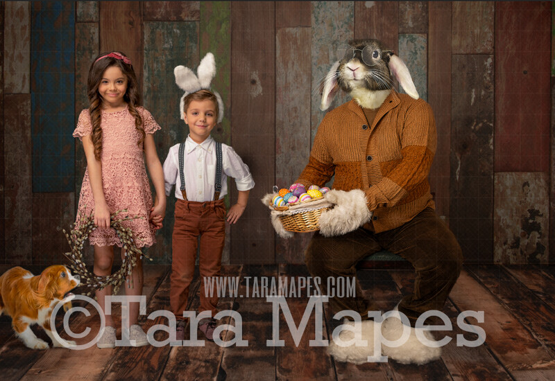Easter Bunny Digital Backdrop - Easter Bunny with Easter Basket in Studio - Fine Art Easter Bunny - Easter Eggs - Easter Bunny Studio - Easter Digital Background / Backdrop JPG