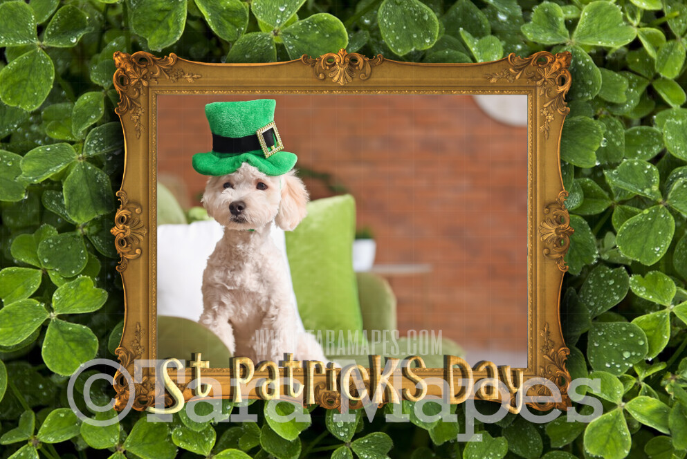 St Patrick's Day Frame Digital Overlay - St Paddys Frame PNG File  - Photoshop Digital Background / Backdrop