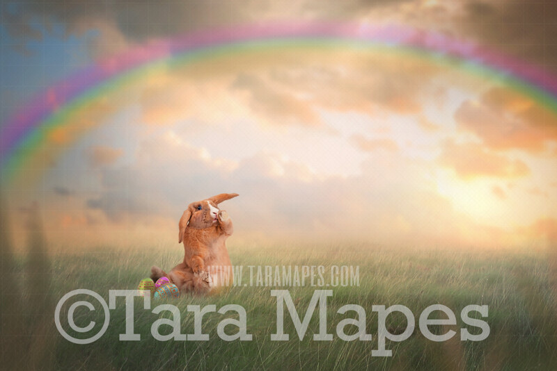Easter Bunny Digital Backdrop - Easter Bunny in Soft Field with Rainbow Easter Digital Background / Backdrop JPG