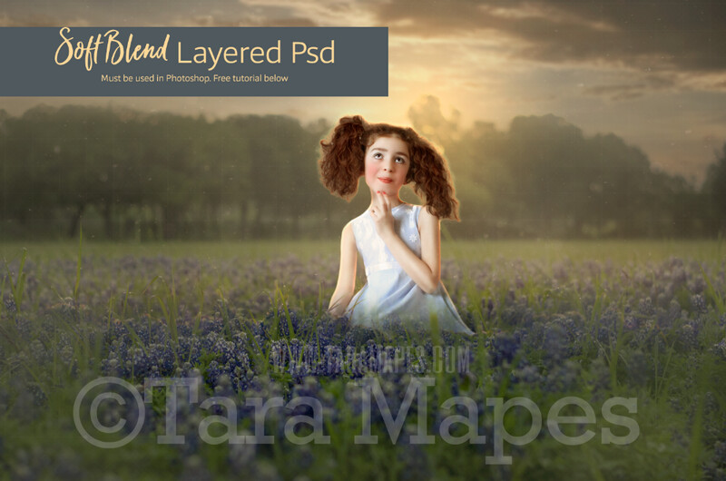 Blue Bonnet Field Digital Background - SoftBlend Photoshop File - Layered PSD Field of Flowers Digital Background by Tara Mapes - Digital Backdrop Digital Background LAYERED PSD