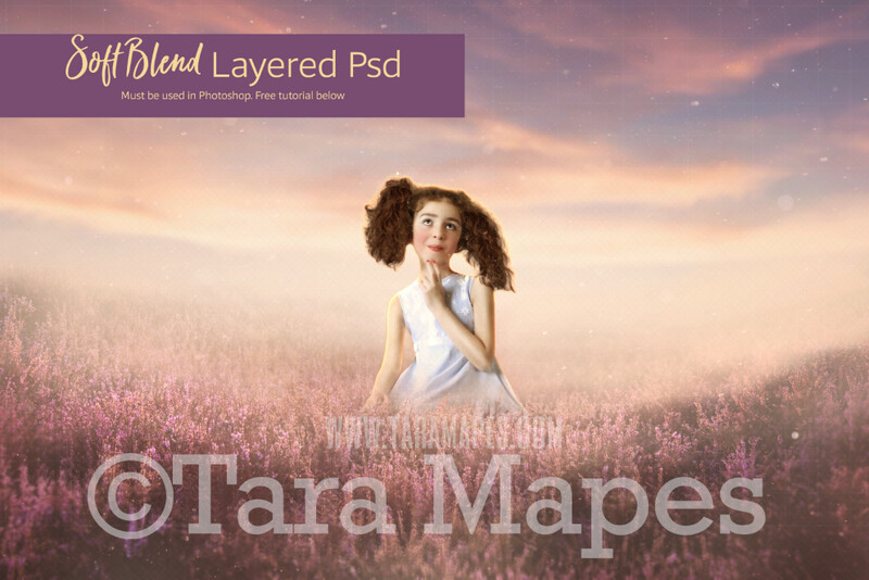 Heather Field Digital Background - SoftBlend Photoshop File - Layered PSD Field of Pink Flowers Digital Background by Tara Mapes - Digital Backdrop Digital Background LAYERED PSD