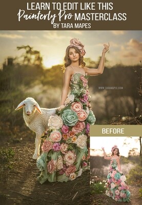 Painterly Pro Masterclass by Tara Mapes