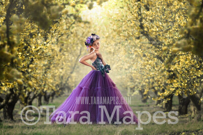 Yellow Tree Blossoms Orchard - Yellow Flowers Tree Blossom Tunnel - Creamy Rich Flowering Trees Digital Background / Backdrop