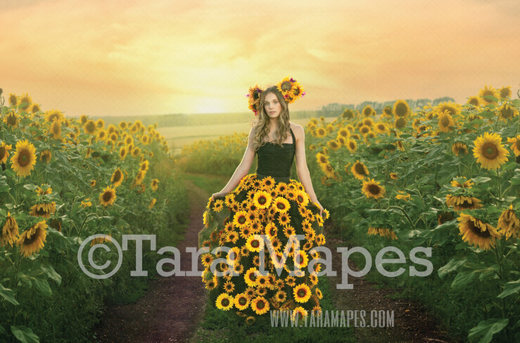 Sunflower Digital Backdrop - Sunflower Field with Path in Soft Field and Sunset - Sunflower Background - JPG FILE - Digital Background / Backdrop
