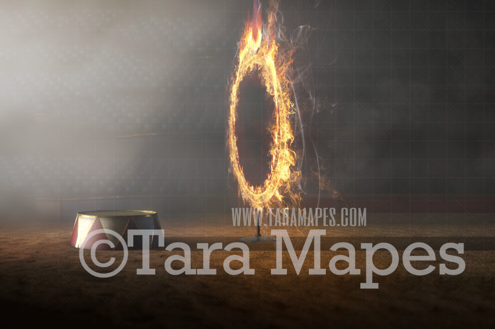 Circus Digital Backdrop- Circus Arena with Fire Ring  and Circus Stands - Circus Under Lights Digital Background
