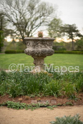 Garden Fountain Digital Background  - Nature Digital Background / Backdrop