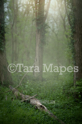 Fairy Tree Digital Background - Fairy Forest - Nature Digital Background / Backdrop