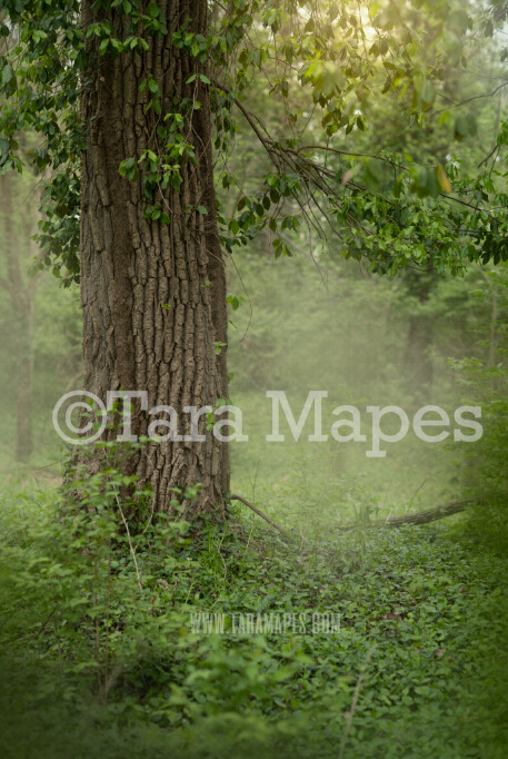 Fairy Tree Digital Background - Fairy Forest - Nature Digital Background / Backdrop