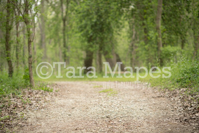 Forest Digital Background - Dirt Path in Forest  - Nature Digital Background / Backdrop