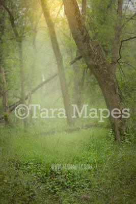 Fairy Tree Digital Background - Fairy Forest - Nature Digital Background / Backdrop