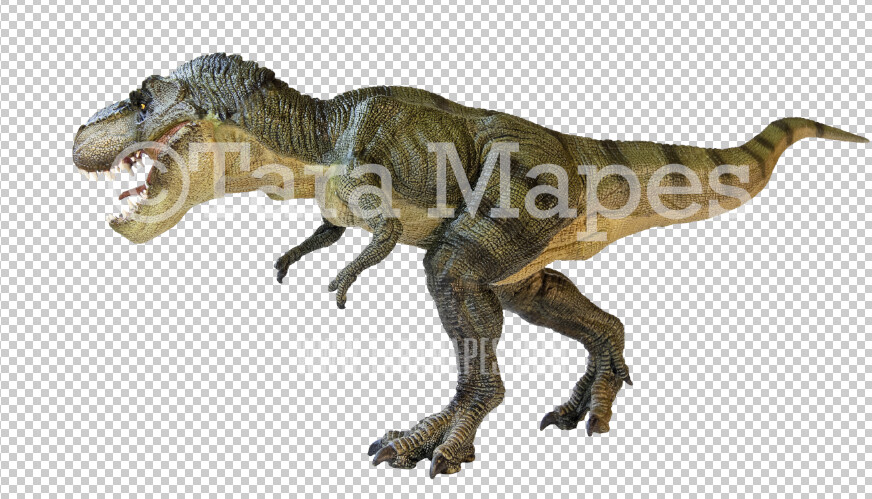 Dinosaur PNG - Dinosaur ClipArt -  Dino PNG - Animal Overlay