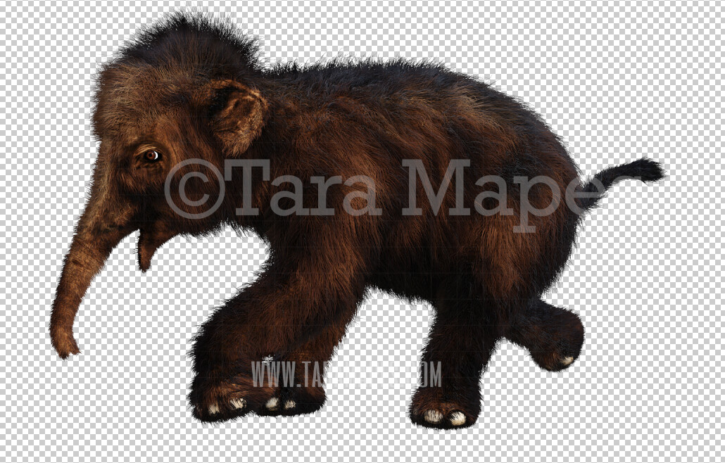 Baby Mammoth Overlay PNG - Mammoth Clip Art - Mammoth PNG - 3d Render Animal Overlay