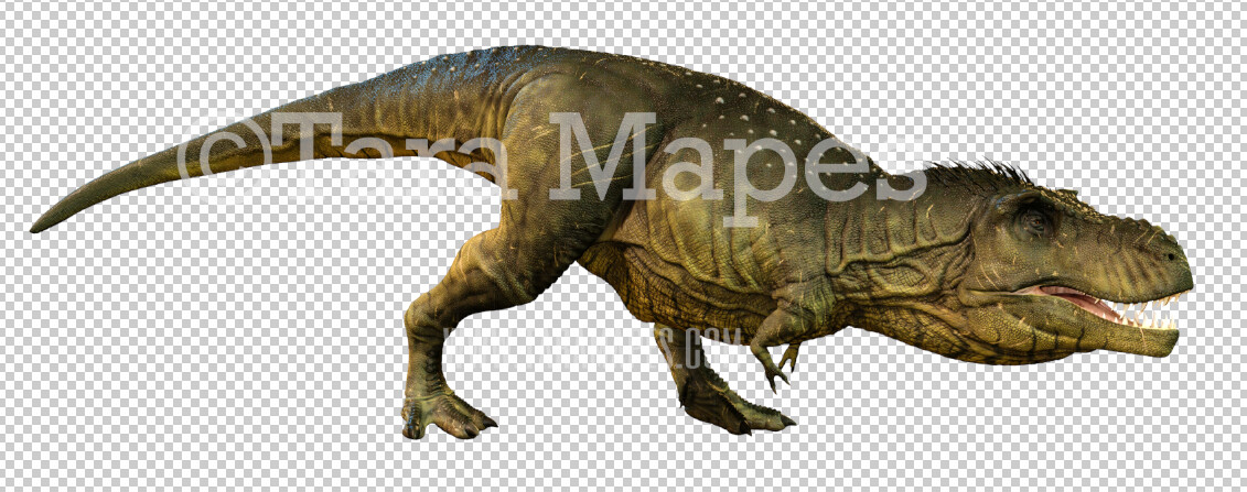 Dinosaur PNG - Funny Dinosaur ClipArt -  T Rex Dino PNG - Tyrannosaurus Rex Animal Overlay