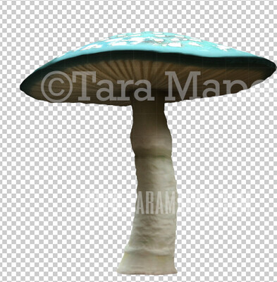 Mushroom Overlay PNG - Mushroom  Clip Art -  Mushroom  PNG -  Overlay