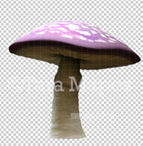 Mushroom Overlay PNG - Mushroom  Clip Art -  Mushroom  PNG -  Overlay