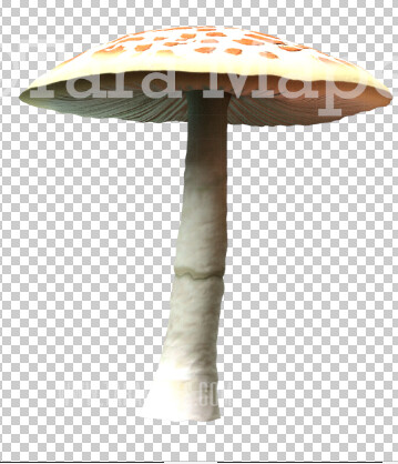 Mushroom Overlay PNG - Mushroom  Clip Art -  Mushroom  PNG -  Overlay