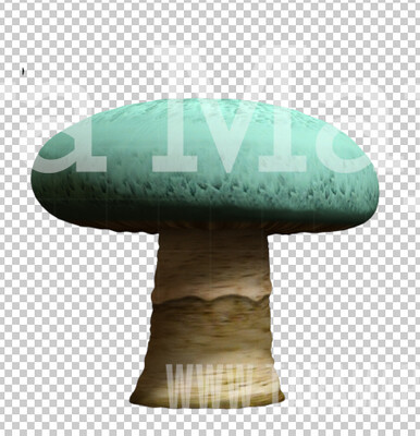 Mushroom Overlay PNG - Mushroom  Clip Art -  Mushroom  PNG -  Overlay