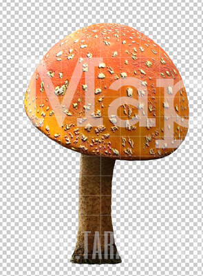 Mushroom Overlay PNG - Mushroom  Clip Art -  Mushroom  PNG -  Overlay