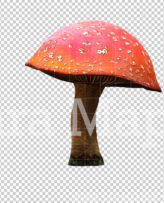 Mushroom Overlay PNG - Mushroom  Clip Art -  Mushroom  PNG -  Overlay
