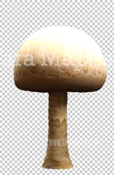 Mushroom Overlay PNG - Mushroom  Clip Art -  Mushroom  PNG -  Overlay