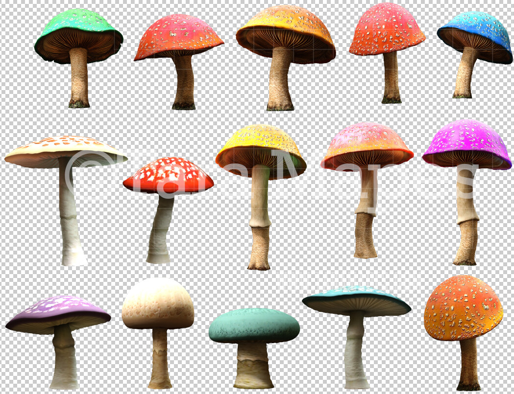Mushroom Bundle - Mushroom Overlays - Mush room Overlay PNG - Mushroom  Clip Art -  Mushroom  PNG -  Overlay