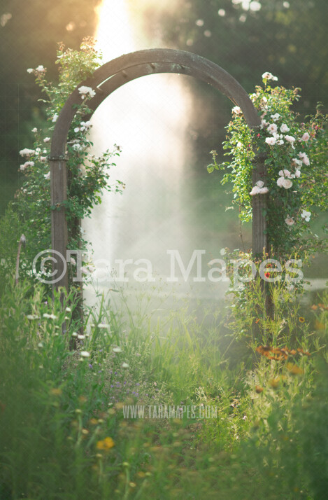 Flower Trellis in Garden Digital Background  - Flowers on Garden Path Nature Digital Background / Backdrop