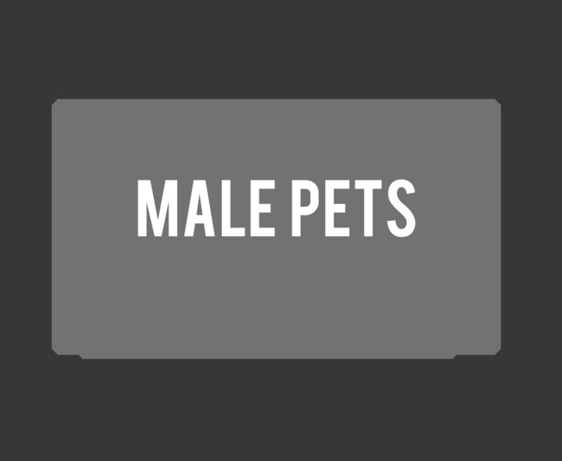 Male Pets