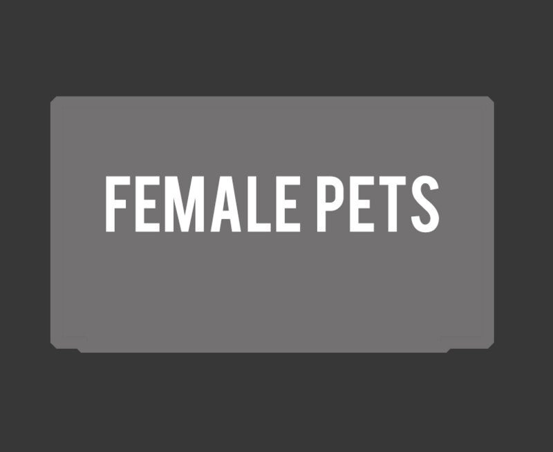 Female Pets