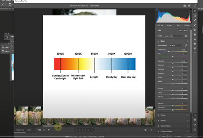 Free Photoshop Tutorial: Shooting in Kelvin WATCH DIRECTLY BELOW