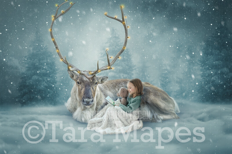 Smiling Reindeer in Snow by Pine Trees - Christmas Reindeer with Lights in Antlers - Free Snow overlay - Snowy Scene with Reindeer - Christmas Holiday Digital Background Backdrop JPG Smiling Reindeer in Snow by Pine Trees - Christmas Reindeer with Lights in Antlers - Free Snow overlay - Snowy Scene with Reindeer - Christmas Holiday Digital Background Backdrop JPG