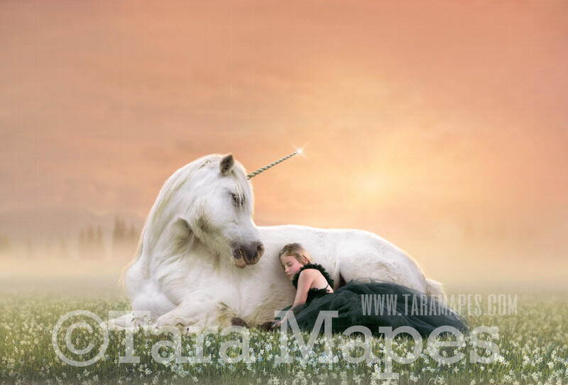 Unicorn Digital Backdrop - Unicorn Laying in Field of Flowers - Unicorn in Meadow - Unicorn Digital Background