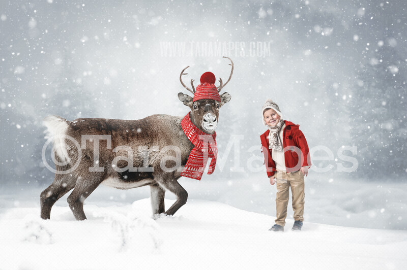 Reindeer Digital Backdrop - Reindeer wearing hat and scarf in Snow - Free Snow overlay - Christmas Holiday Digital Background Backdrop JPG