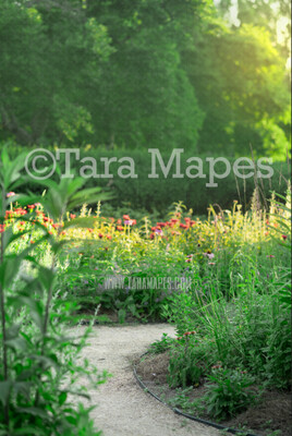 Garden of Flowers Digital Background  - Walkway in Garden Path Nature Digital Background / Backdrop