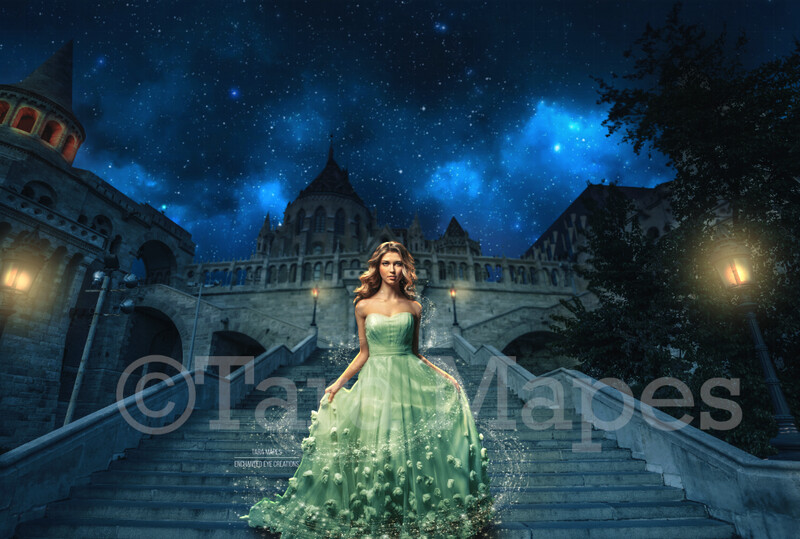 Cinderella Stairs Digital Backdrop - Castle Stairs Digital Background - Princess Staircase to Castle Digital Background