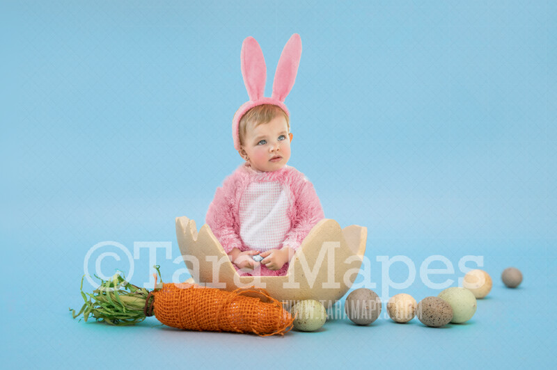 Newborn Easter Digital Backdrop - Easter Egg with Carrot- Newborn Easter Egg Digital Background / Backdrop Layered PSD