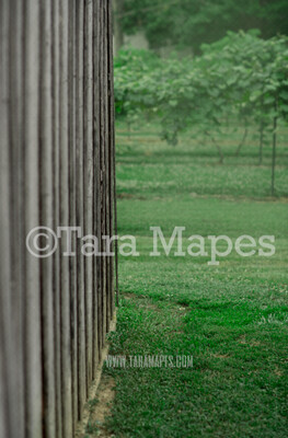 Vineyard Barn Digital Backdrop - Grape Vineyard - Wine Vineyard Sunset Vineyard Digital Background