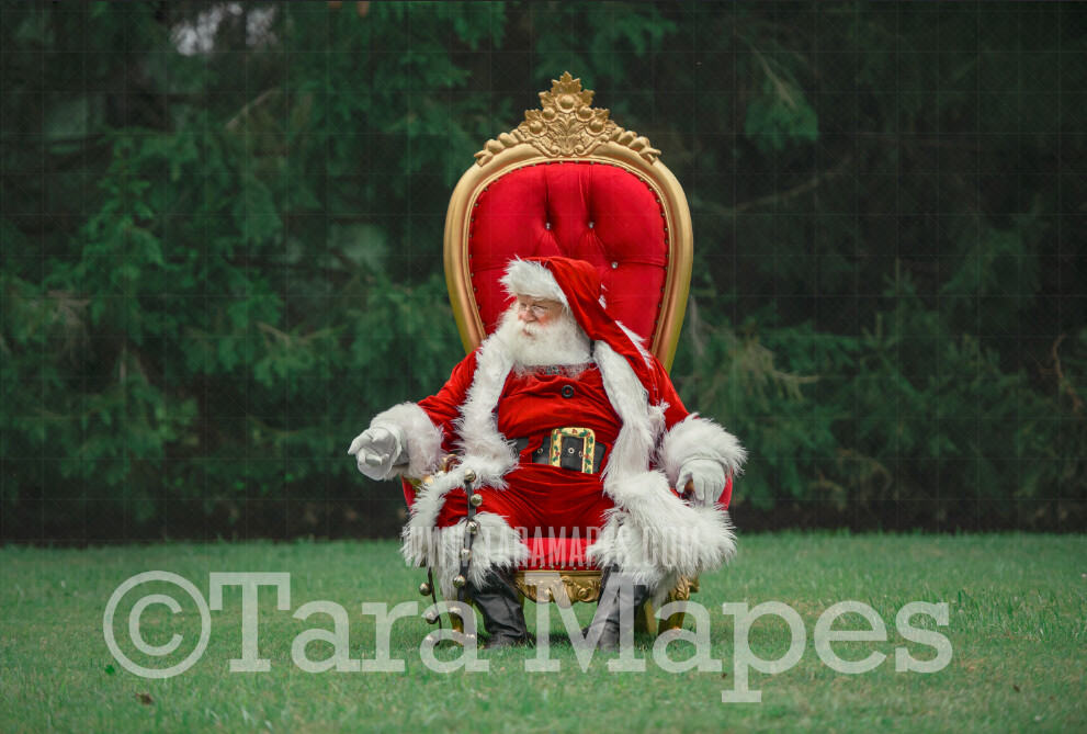Santa in Throne with Free Snow Overlay - Santa in Christmas Chair by Pine Trees - Outdoor Christmas Holiday Digital Background Backdrop
