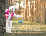 Easter Bunny Peeking Behind Tree with Basket - Easter Rabbit in Enchanted Forest JPG file - Photoshop Digital Background / Backdrop