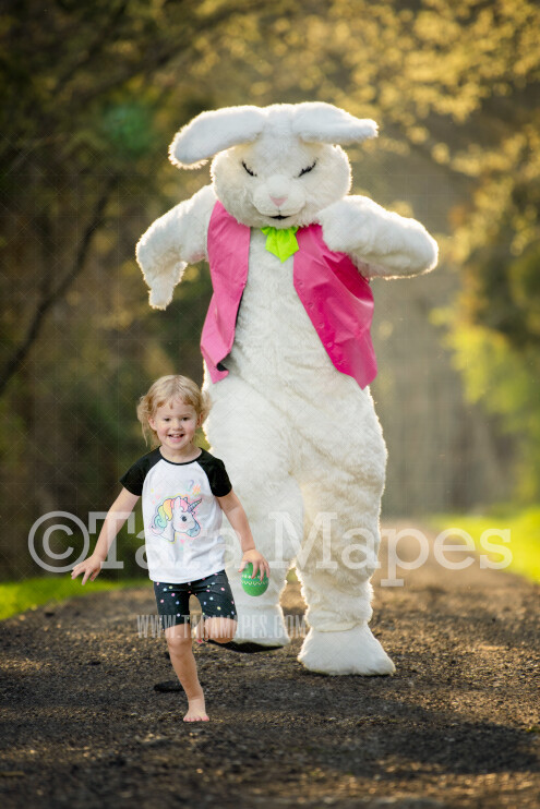 Easter Bunny Chasing - Huge Easter Bunny Chase - Funny Easter Digital - JPG file - Photoshop Digital Background / Backdrop