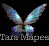 Fairy Wing Overlay - Fairy Wing Overlay - Digital Wings - Glitter Sparkles Fairy Wing - Digital Fairy Wings