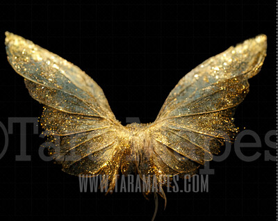 Fairy Wing Overlay - Fairy Wing Overlay - Digital Wings - Glitter Sparkles Fairy Wing - Digital Fairy Wings