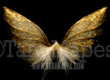 Fairy Wing Overlay - Fairy Wing Overlay - Gold Digital Wings - Glitter Sparkles Fairy Wing - Digital Fairy Wings