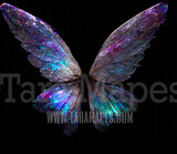 Fairy Wing Overlay - Fairy Wing Overlay - Digital Wings - Glitter Sparkles Fairy Wing - Digital Fairy Wings